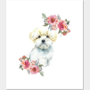 Cute Maltese Puppy Watercolor Art Posters and Art